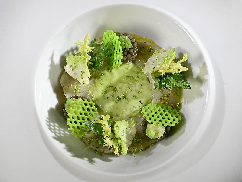 Nage de Saint-Jacques
